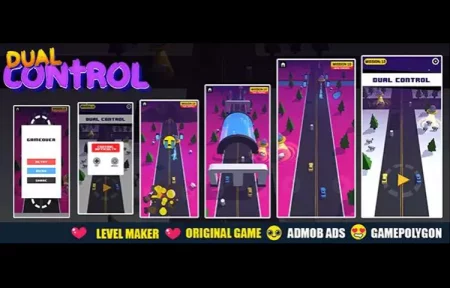 Dual Control