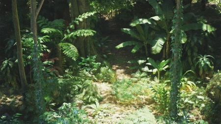 Rain Forest Pack