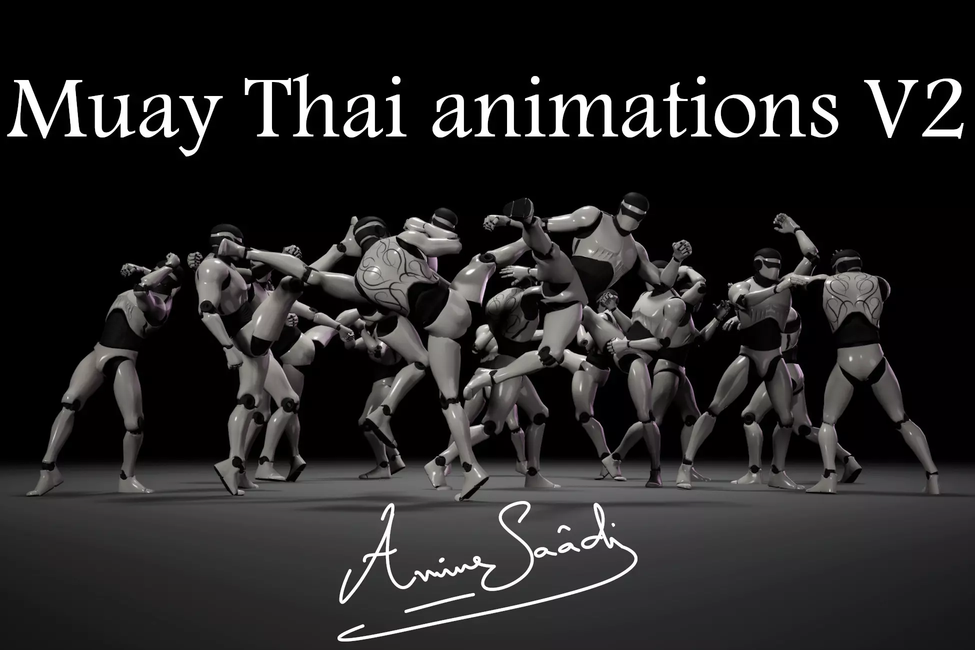 Combat animations - Kickboxing and Muay Thai V2