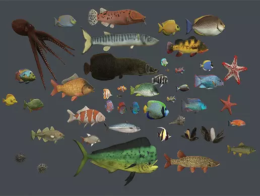 Underwater life deluxe