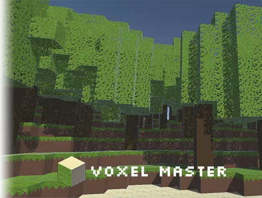 Voxel Master
