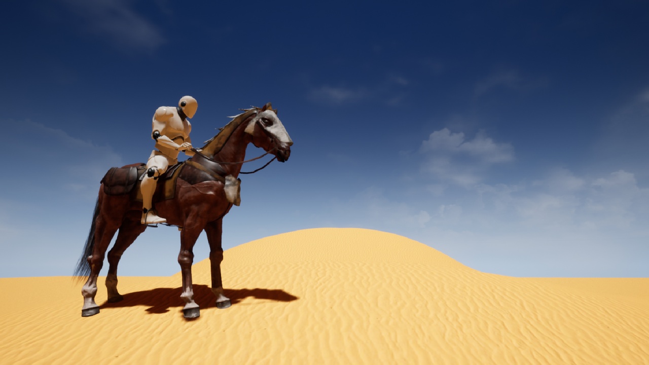 Horse Riding System