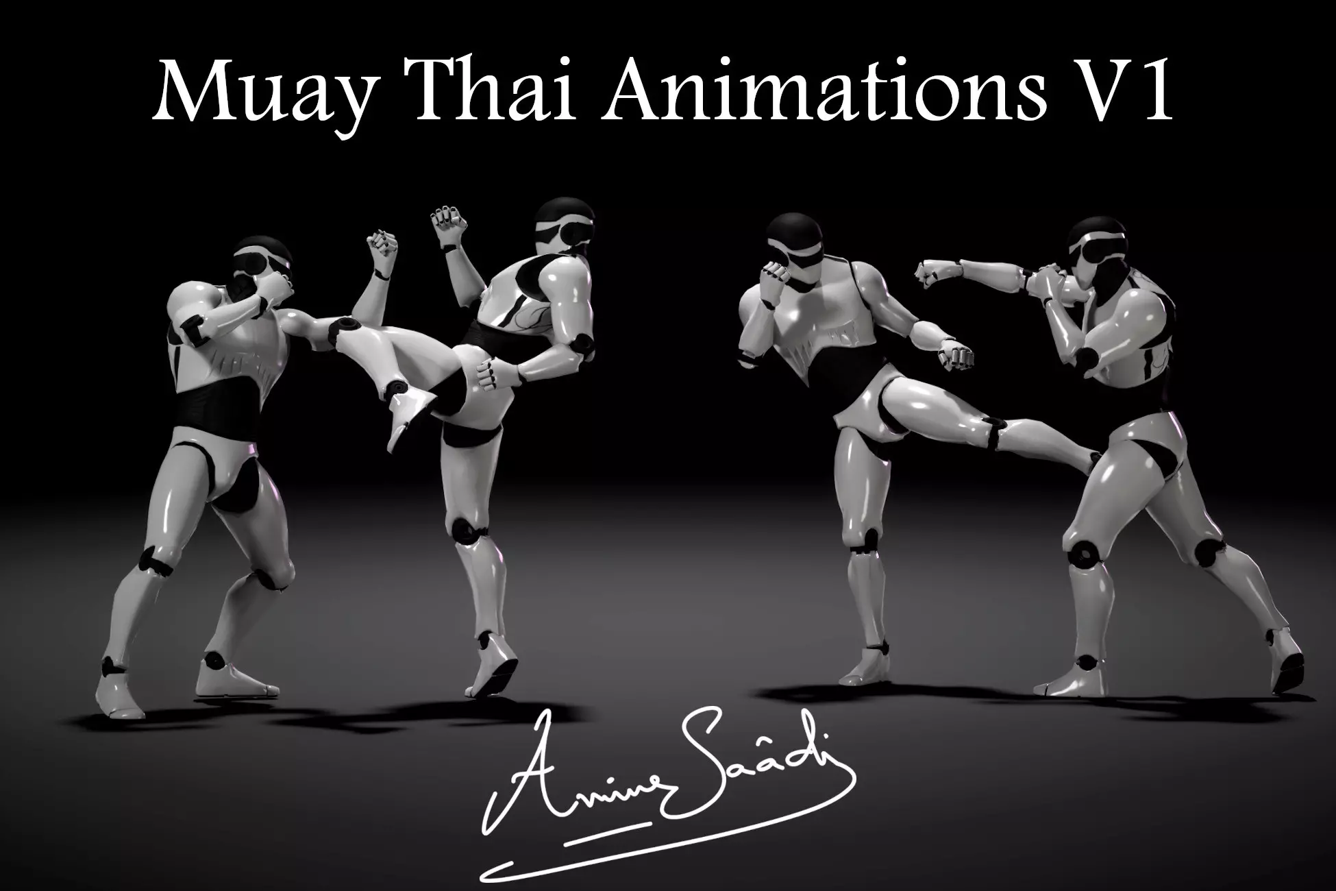 Combat animations - Kickboxing and Muay Thai V1