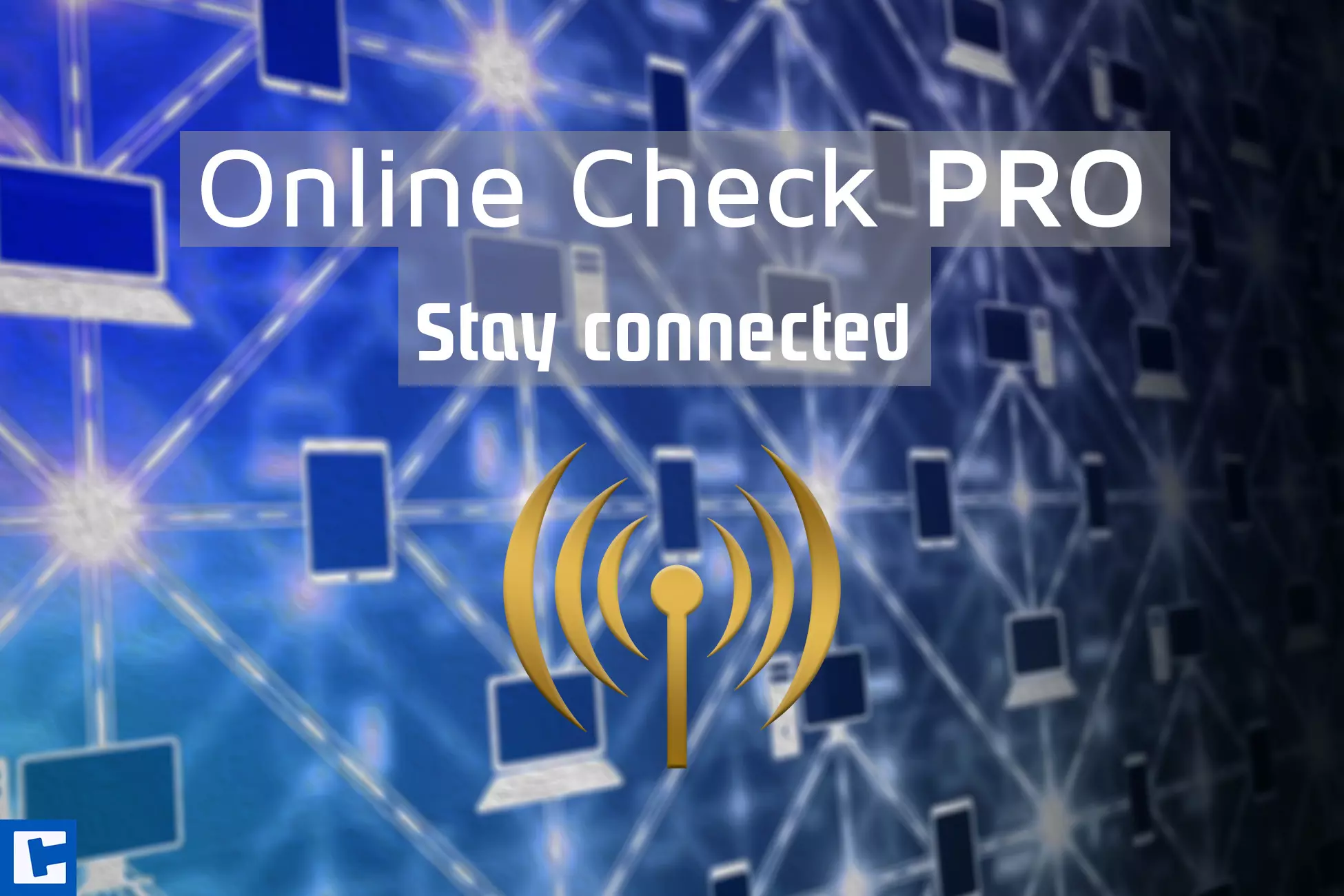 Online Check PRO