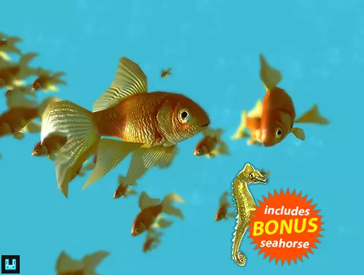 Fish School Goldfish