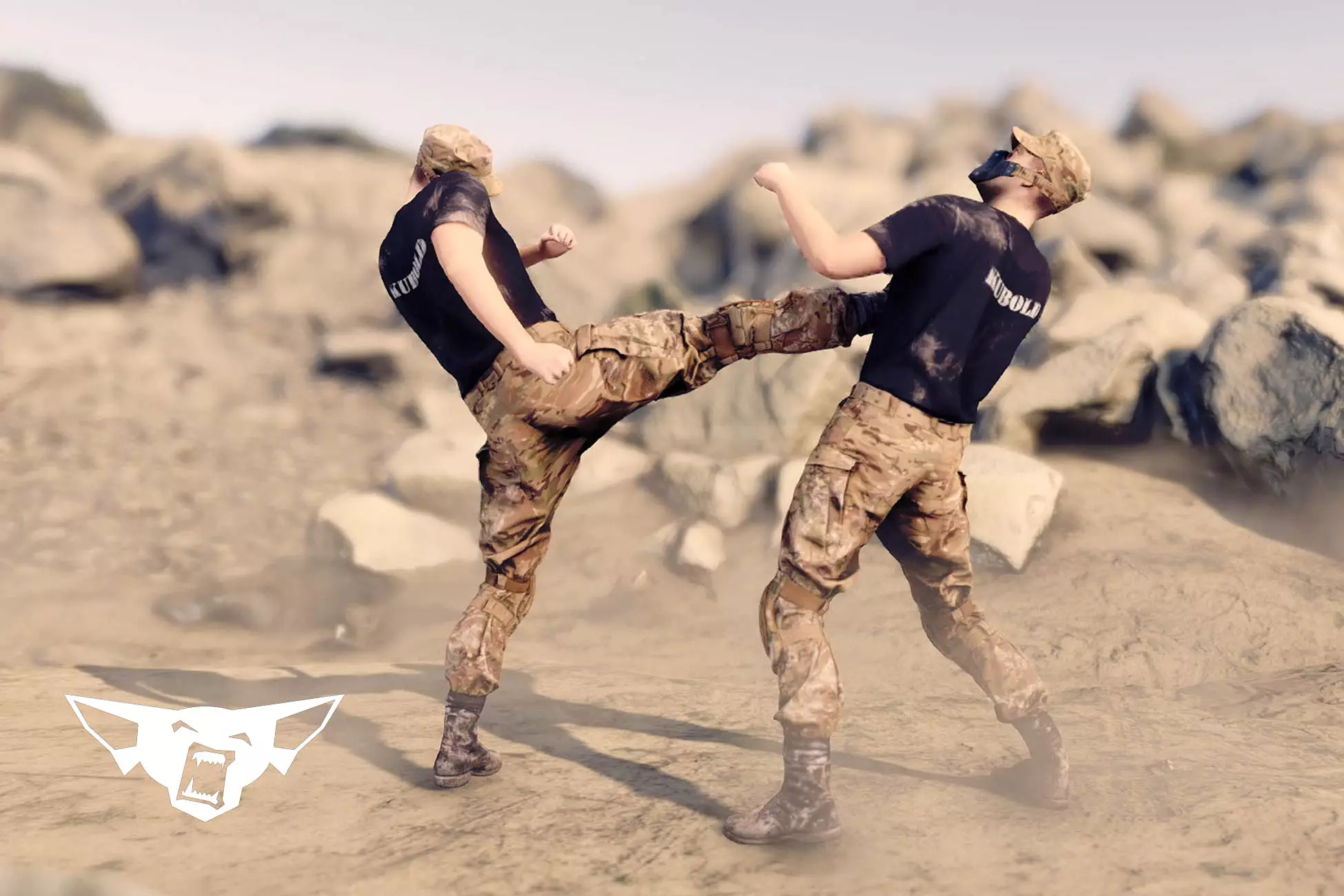 Fighting Animset Pro
