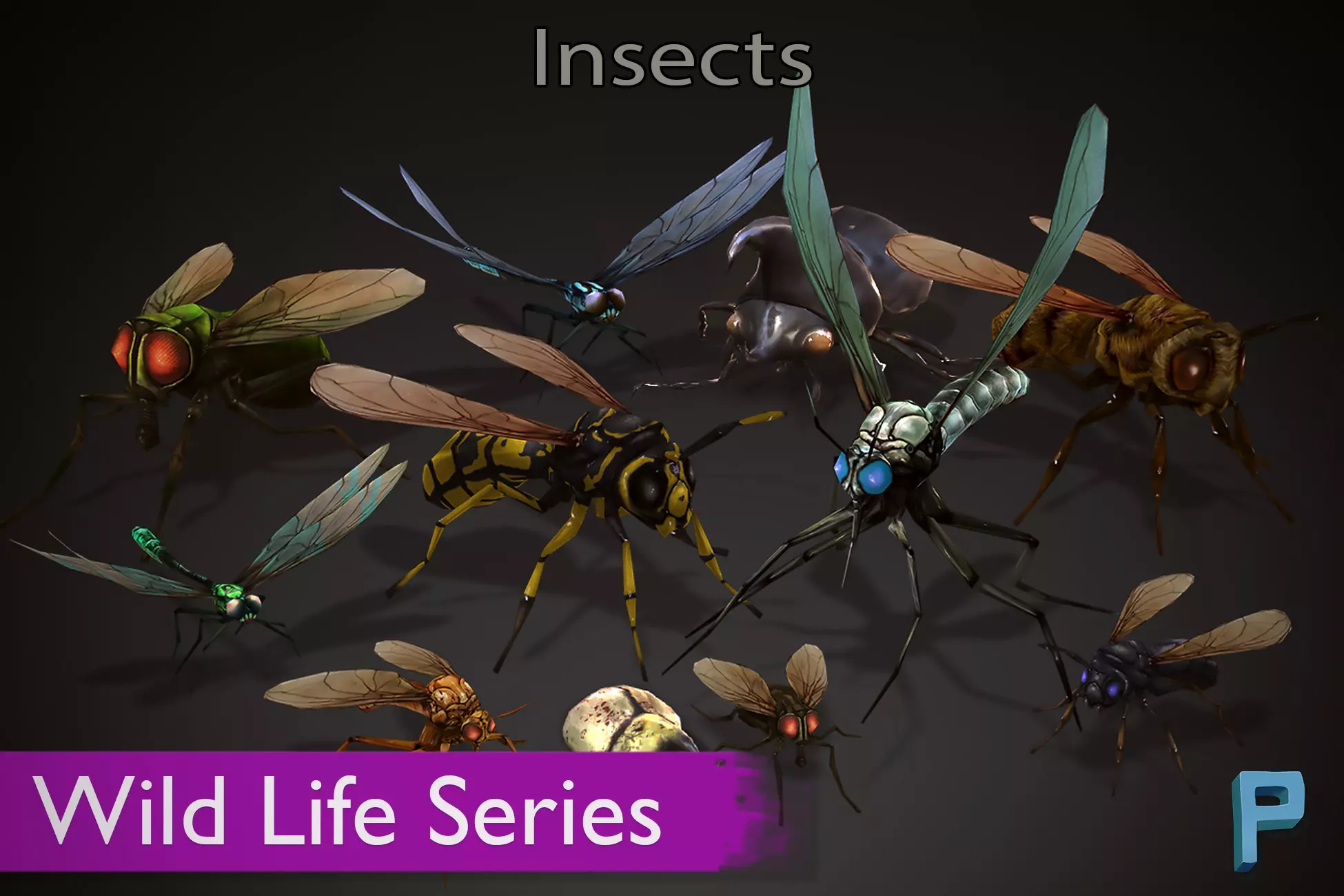 Wild Life - Insects