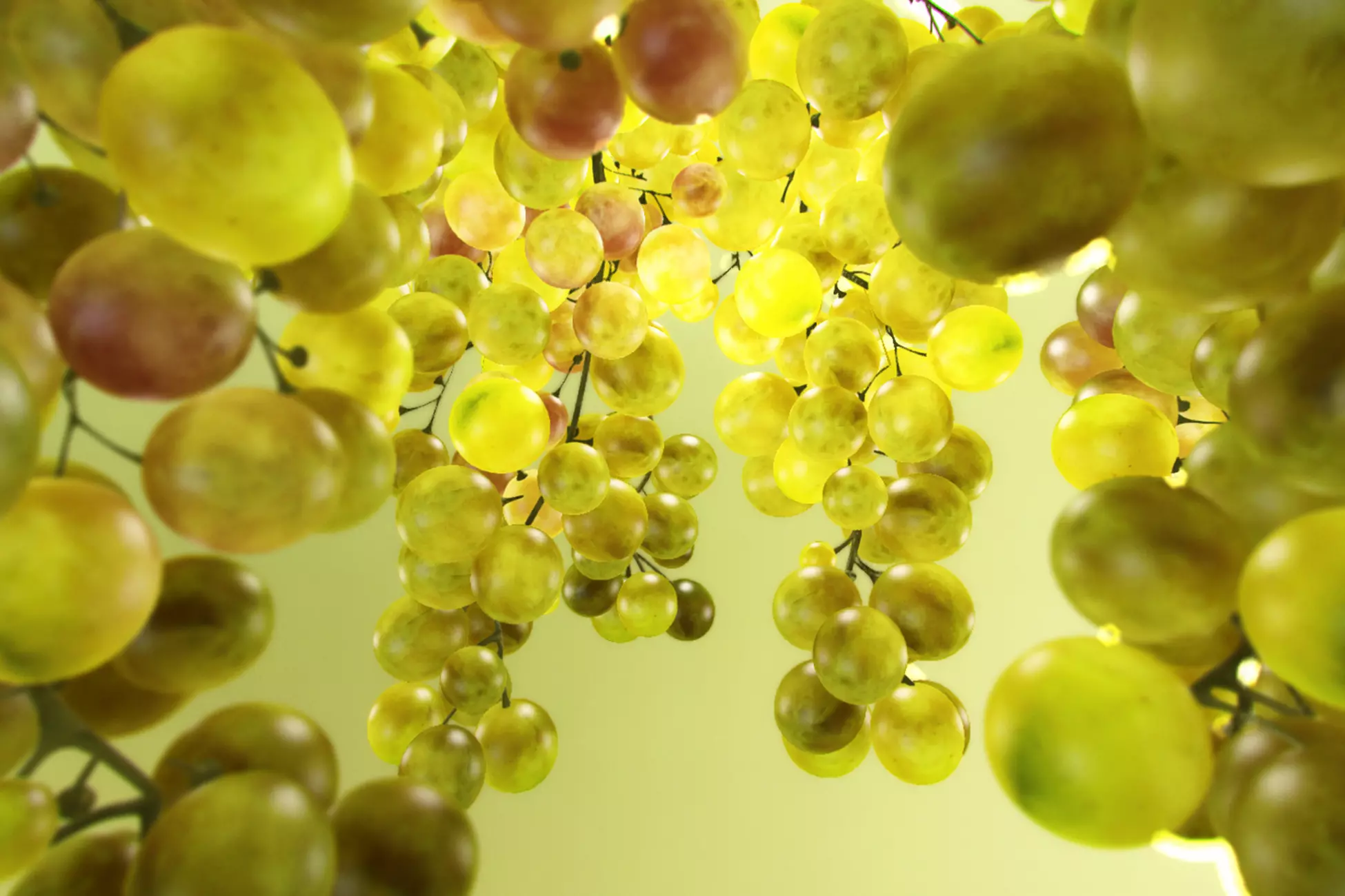 Subsurface Scattering Shader